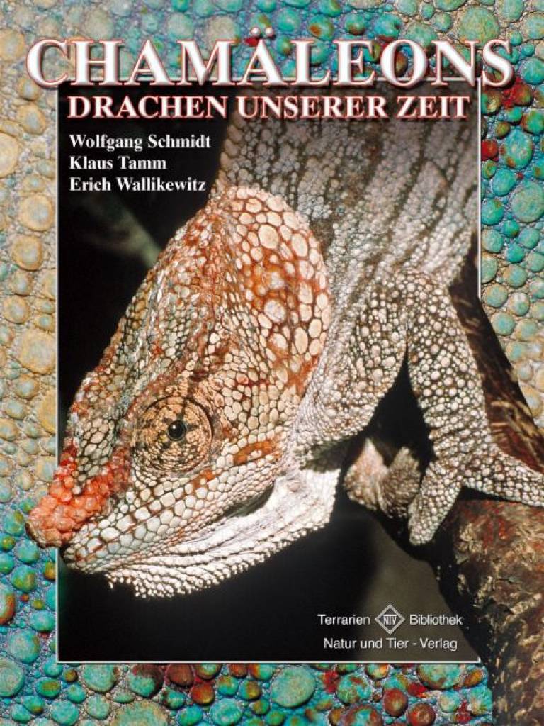 Chamäleons – Drachen unserer Zeit